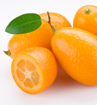 Citrus Kumquat ´BIG´ 30-40 cm, kont. 2 l, štepený