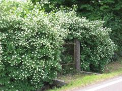 Obr�zok (3)