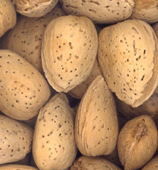 Mand�a sladkoplod� �TEXAS� podp. semen��, 140-150 cm, kont. 6 l