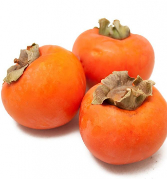 Ebenovník rajčiakový / Hurmikaki ´JIRO´ 100-120 cm, kont. 1,7 l