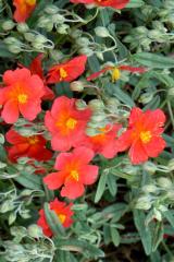Obr�zok (6)