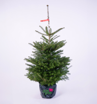 Jeda krejsk 140-160 cm, kont. 7,5 l