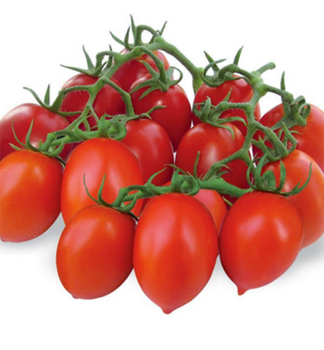 Raj�ina kol�kov� cherry �DOMINUS F1� kont. 0,5 l
