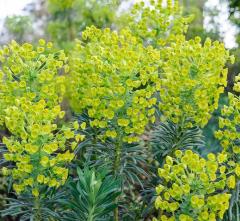 Obr�zok (4)