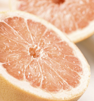 Grapefruitovník ´RED BLUSH´ 40-50 cm, kont. 2 l