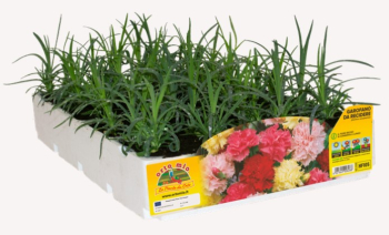 Obr�zok (5)