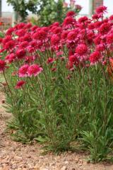 Obr�zok (3)