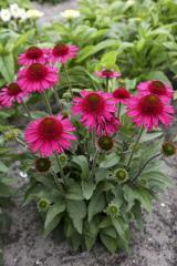 Obr�zok (2)