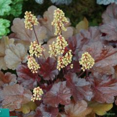Obr�zok (3)