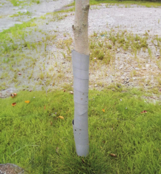 Ochrana stromov Green Garden GUARDIAN, 60 cm, 3 ks v balen