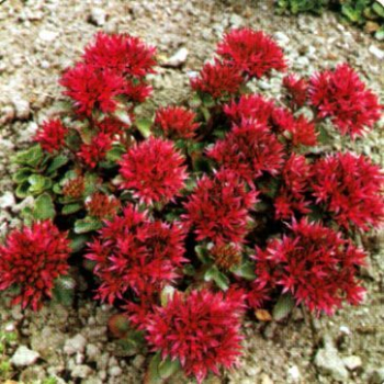 Obr�zok (2)