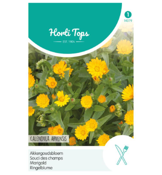 Semen� - NECHT�K PO�N�