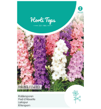 Semen - STRAONԎKA hyacintokvet, mix farieb