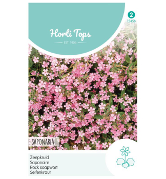 Semen� - MYDLICA BAZALKOVIT�