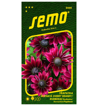 Semen� - RUDBEKIA SRSTNAT� �CHERRY BRANDY�