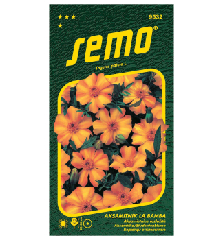 Semen� - AKSAMIETNICA ROZLO�IT� �LA BAMBA�