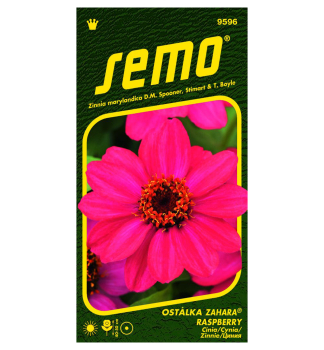 Semen� - C�NIA �ZAHARA RASPBERRY�