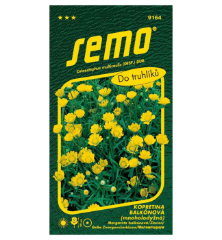 Semen� - MARGAR�TA BALK�NOV� �ZLATOVL�SKA�