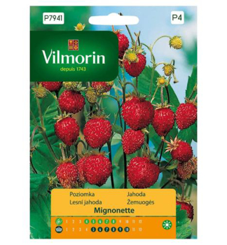 Semen� - JAHODA LESN� �MIGNONETTE�