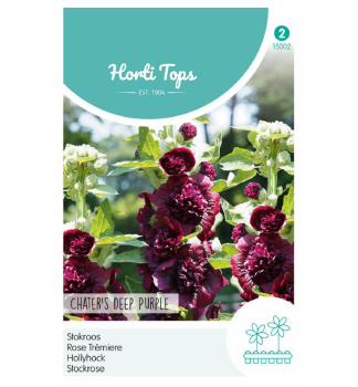 Semen� - TOPO�OVKA ru�ov� �CHARTER�S DEEP PURPLE�