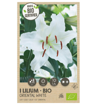 Cibule - BIO �alia �ORIENTAL WHITE� 1 ks v balen�