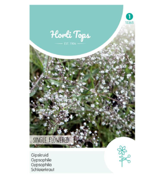 Semen� - GYPSOMILKA METLINAT� biela