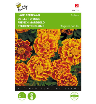 Semen� - AKSAMIETNICA ROZLO�IT� �BOLERO�