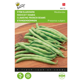 Semen� - FAZU�A �WESTLAND�