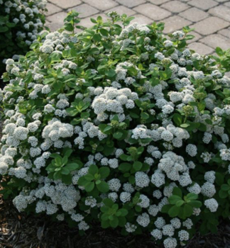 Obr�zok (1)