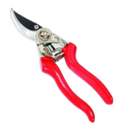 Z�hradn� no�nice s aret�ciou