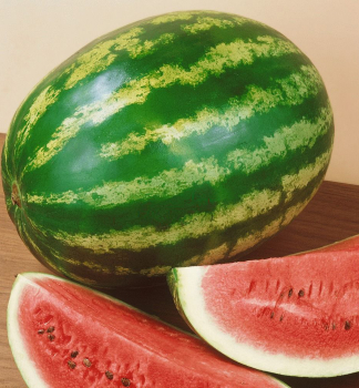 Mel�n �erven� �BOMBER F1�, kont. 0,5 l