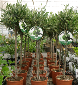Obr�zok (7)