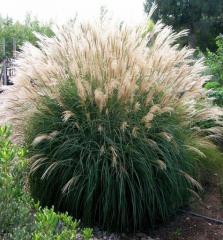 Obr�zok (4)