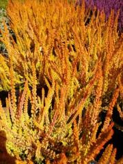 Obr�zok (1)