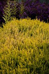 Obr�zok (4)
