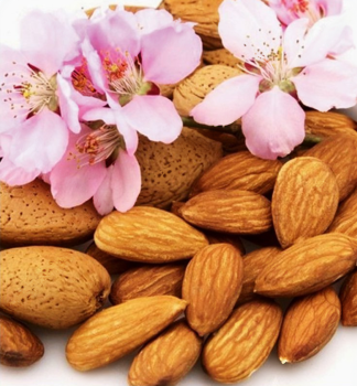 Mandľa sladkoplodá ´NIKOL´ podp. semenáč, 140-150 cm, kont. 6 l