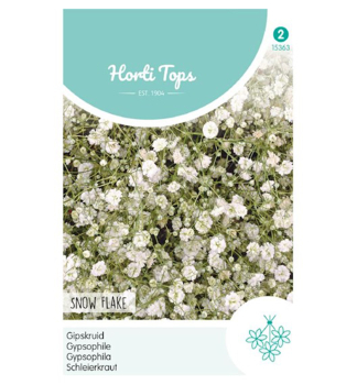 Semen� - GYPSOMILKA METLINAT� biela