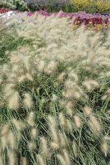 Obr�zok (1)