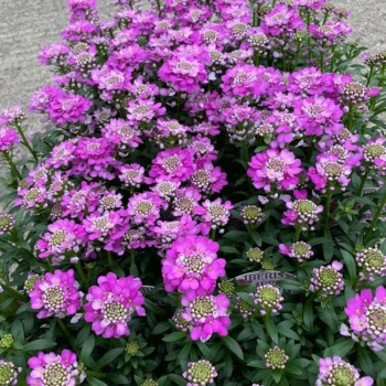 Obr�zok (3)