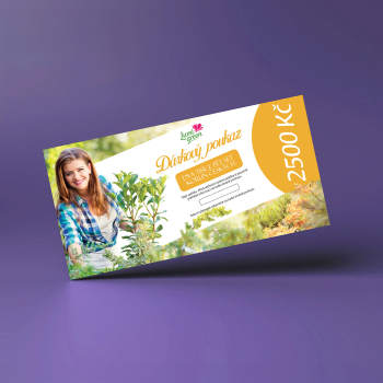 Darekov poukaz na nkup v hodnote 2500 K