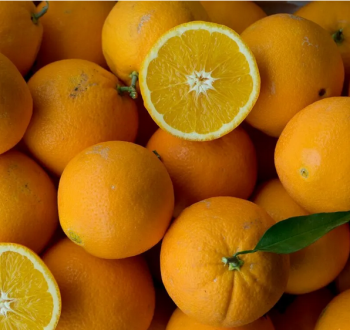 Pomaranovnk NAVELATE 15-20 cm, kont. 2 l