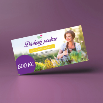 Elektronick darekov poukaz v hodnote 600 K